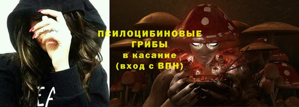 2c-b Бородино