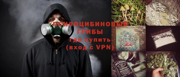 2c-b Бородино